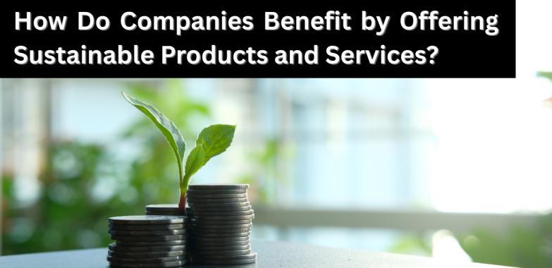 How Do Companies Benefit by Offering Sustainable Products and Services?