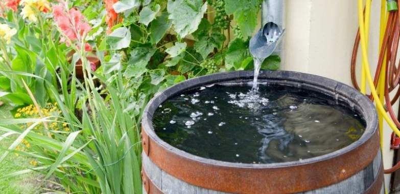 Rainwater Harvesting: The Best Practices To Achieve Sustainable Use