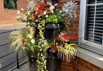 The largest range of Rainwater Terrace water butts including all compatible water butt accessories, planters and drip irrigation kits.